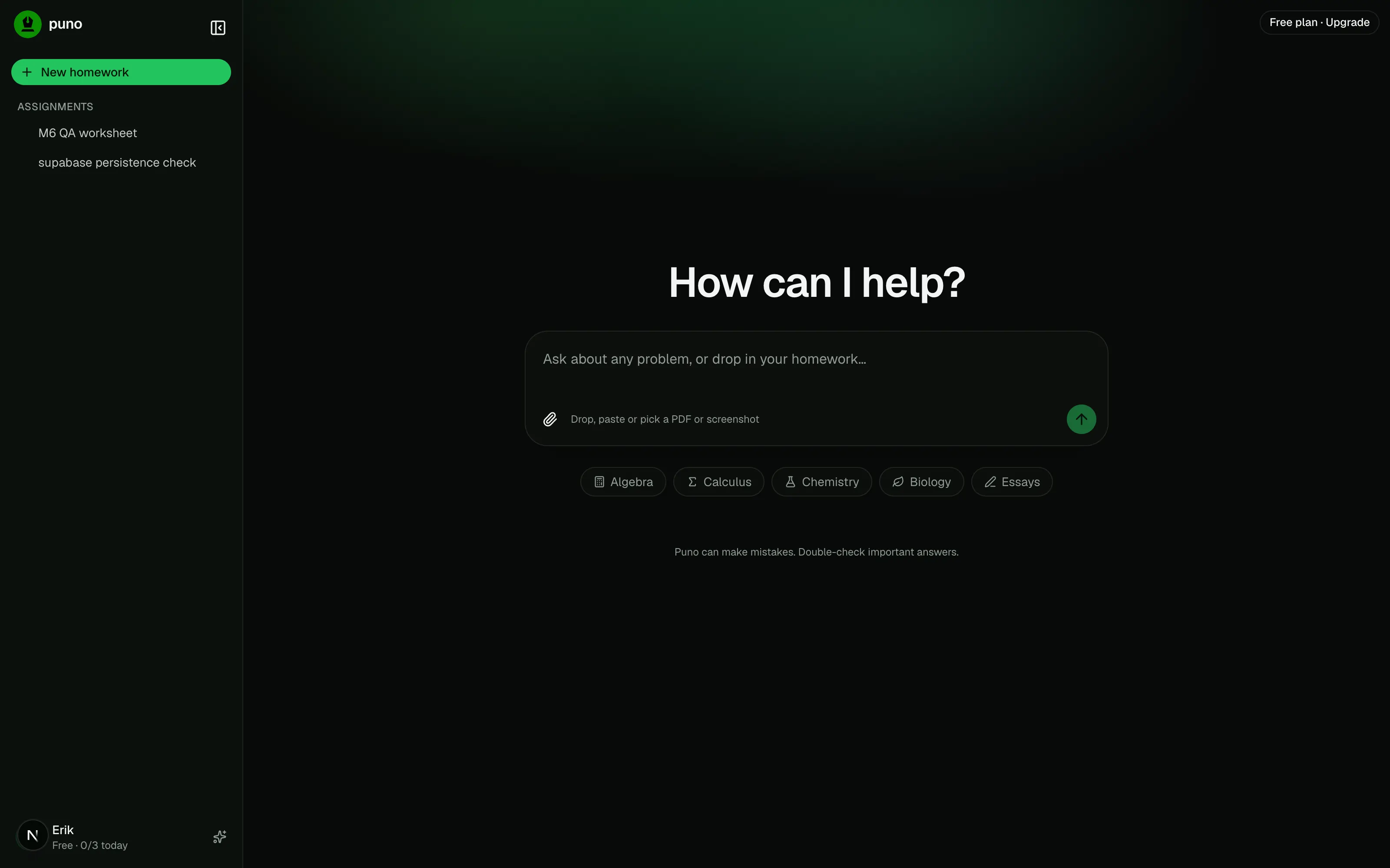 Puno home composer accepting typed questions and file uploads